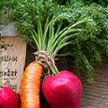 Label producteur local